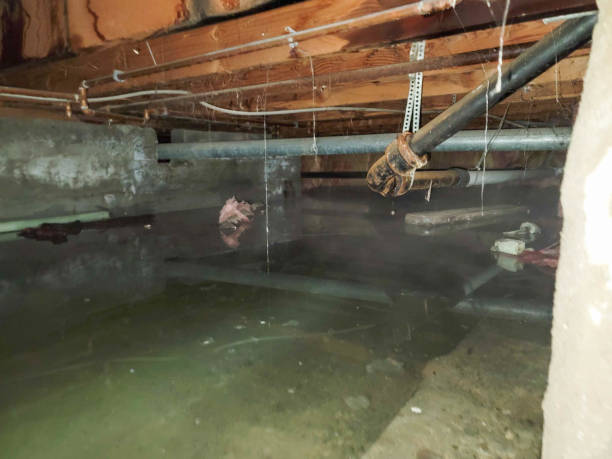 Best 24-hour water damage restoration  in Brushy Creek, TX