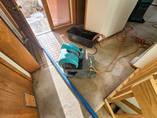 Best Emergency water damage restoration  in Brushy Creek, TX