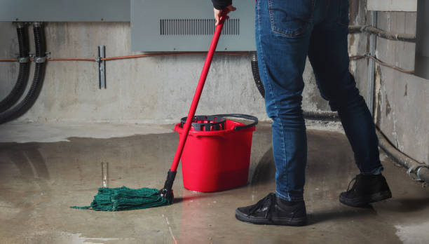 Best Water damage restoration near me  in Brushy Creek, TX