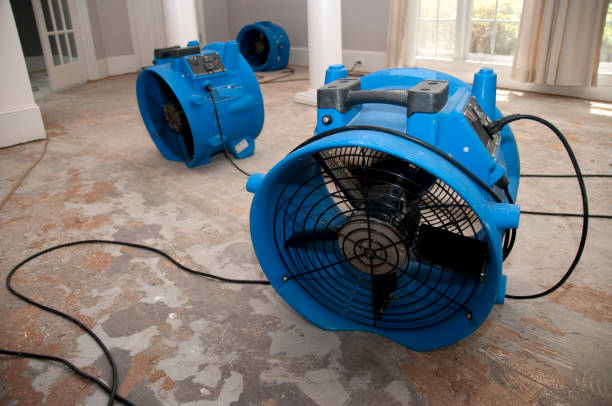 Best Flood damage cleanup  in Brushy Creek, TX