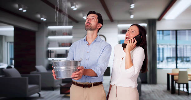 Best Mold removal after water damage  in Brushy Creek, TX